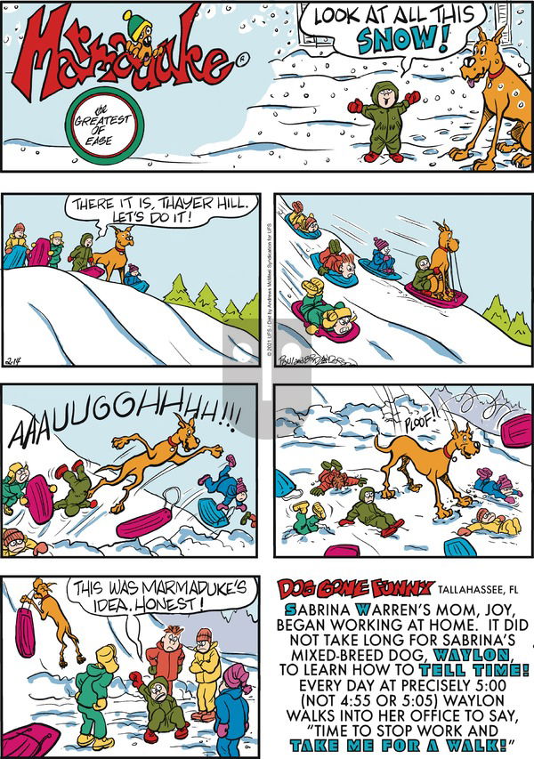 Marmaduke on Sunday February 14, 2021 Comic Strip