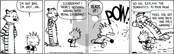 Calvin and Hobbes - Thursday December 23, 1993 Comic Strip