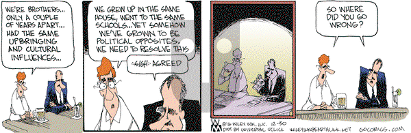 Non Sequitur - Friday December 30, 2016 Comic Strip