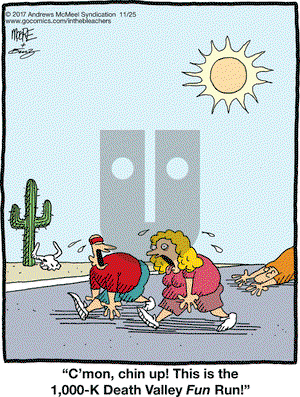 In the Bleachers on Saturday November 25, 2017 Comic Strip