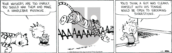 Calvin and Hobbes - Wednesday February 9, 1994 Comic Strip