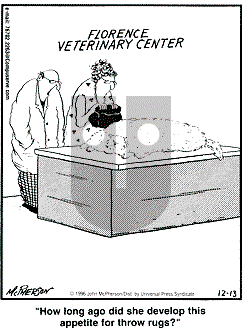 Close to Home - Friday December 13, 1996 Comic Strip