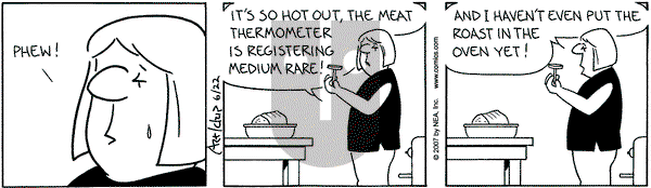 The Born Loser on Friday June 22, 2007 Comic Strip