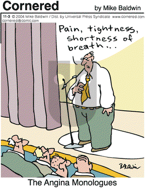 Cornered - Wednesday November 3, 2004 Comic Strip