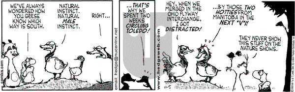 Over the Hedge on Wednesday November 5, 2003 Comic Strip