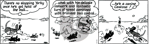 Fred Basset on Tuesday January 20, 2004 Comic Strip