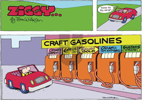 Ziggy on Sunday June 19, 2016 Comic Strip
