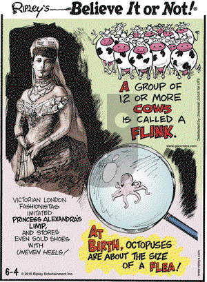 Ripley's Believe It or Not on Thursday June 4, 2015 Comic Strip