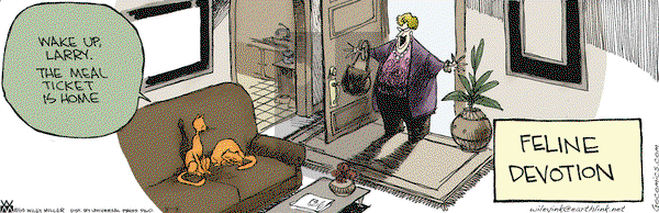 Non Sequitur on Saturday August 8, 2009 Comic Strip