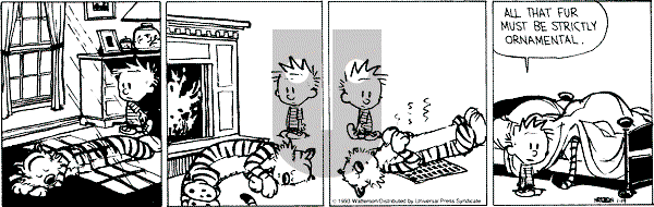 Calvin and Hobbes - Tuesday January 19, 1993 Comic Strip