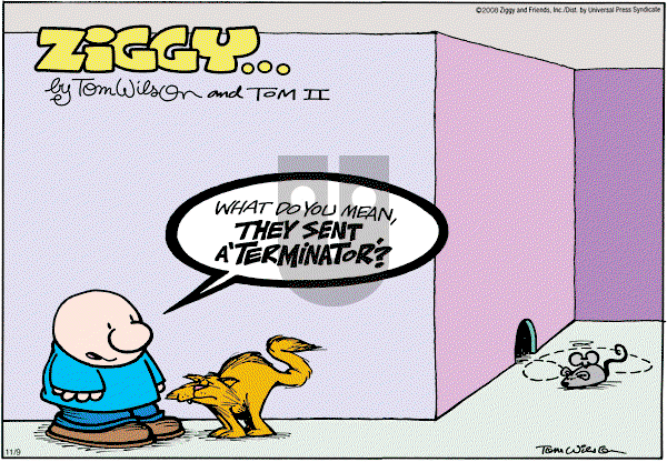 Ziggy - Sunday November 9, 2008 Comic Strip