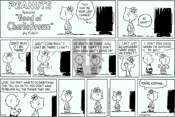 Peanuts - Sunday September 8, 1985 Comic Strip