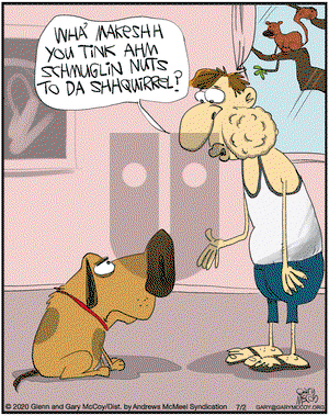 The Flying McCoys on Thursday July 2, 2020 Comic Strip