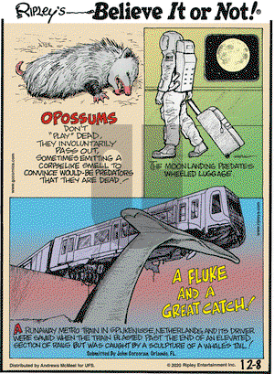 Ripley's Believe It or Not on Tuesday December 8, 2020 Comic Strip