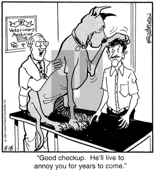 Marmaduke on Wednesday August 18, 1999 Comic Strip