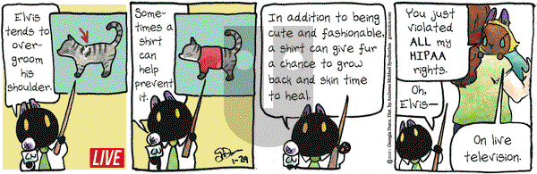 Breaking Cat News on Friday January 29, 2021 Comic Strip