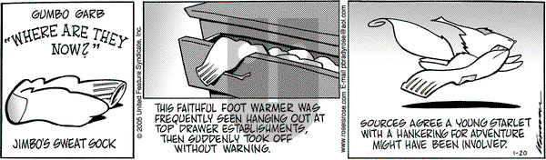 Rose is Rose on Thursday January 20, 2005 Comic Strip