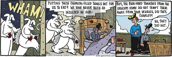 Overboard on Saturday May 26, 2012 Comic Strip