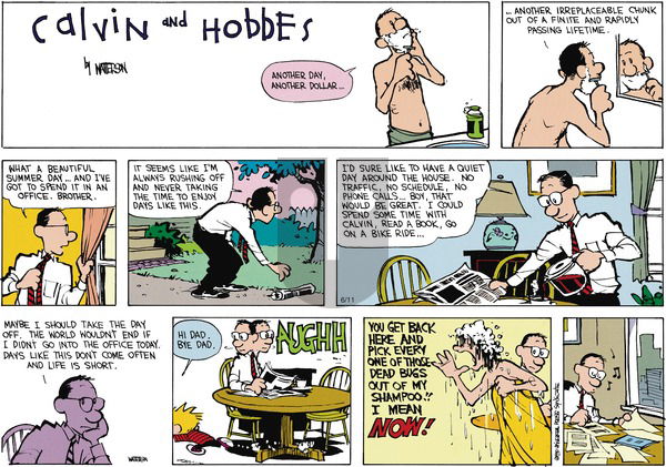 Calvin and Hobbes on Sunday July 29, 1990 Comic Strip