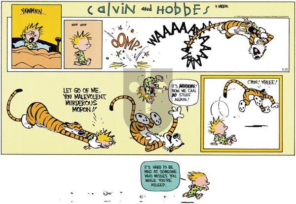 Calvin and Hobbes on Sunday May 25, 2025 Comic Strip