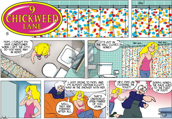 9 Chickweed Lane on Sunday January 3, 2010 Comic Strip