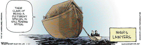 Non Sequitur - Tuesday January 21, 2025 Comic Strip