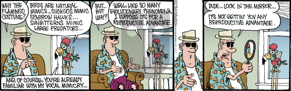 Monty on Saturday May 4, 2019 Comic Strip