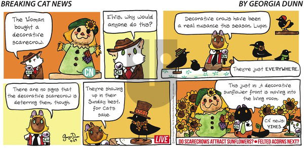 Breaking Cat News on Sunday September 29, 2019 Comic Strip