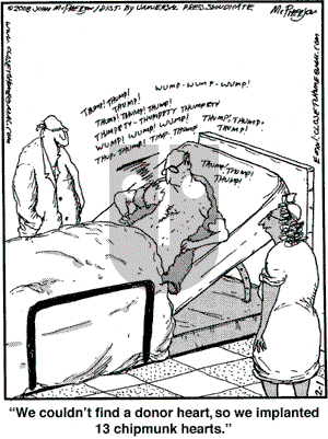 Close to Home on Friday February 1, 2008 Comic Strip