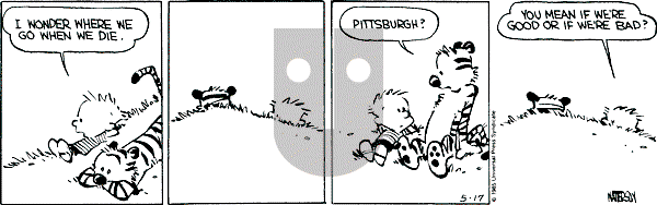 Calvin and Hobbes - Friday May 17, 1991 Comic Strip