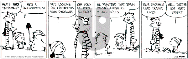 Calvin and Hobbes - Saturday February 19, 1994 Comic Strip