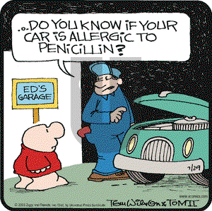 Ziggy on Tuesday July 29, 2003 Comic Strip