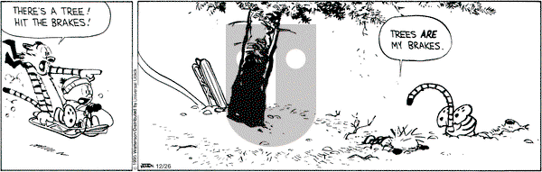 Calvin and Hobbes - Saturday December 26, 2015 Comic Strip