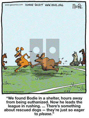 In the Bleachers on Friday November 23, 2007 Comic Strip