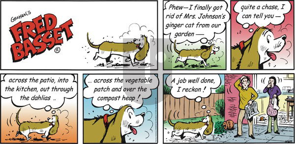 Fred Basset on Sunday July 1, 2018 Comic Strip