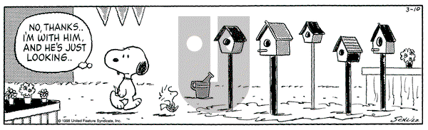 Peanuts on Friday December 14, 2001 Comic Strip