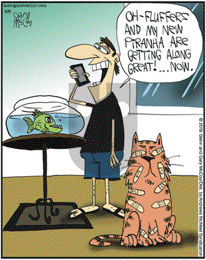 The Flying McCoys on Saturday September 8, 2018 Comic Strip