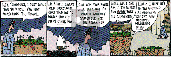 Overboard on Wednesday July 3, 2019 Comic Strip