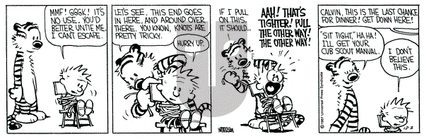 Calvin and Hobbes on Wednesday December 2, 1987 Comic Strip