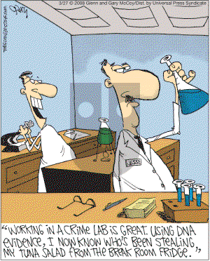 The Flying McCoys on Thursday April 3, 2008 Comic Strip