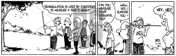 Luann on Wednesday October 25, 1995 Comic Strip