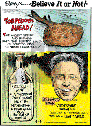 Ripley's Believe It or Not on Friday April 4, 2014 Comic Strip