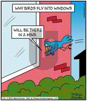 Half Full on Wednesday July 29, 2015 Comic Strip
