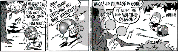 Rose is Rose on Wednesday June 4, 2008 Comic Strip