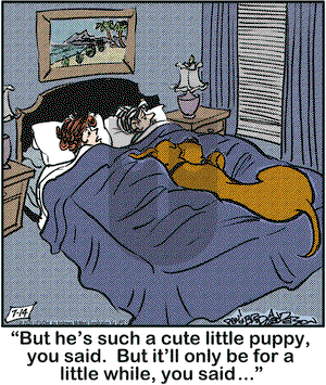 Marmaduke on Tuesday July 14, 2020 Comic Strip