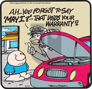 Ziggy - Friday June 12, 2009 Comic Strip