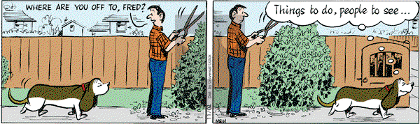 Fred Basset on Friday November 2, 2012 Comic Strip