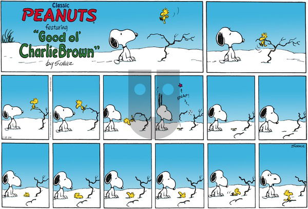 Peanuts on Sunday February 15, 2004 Comic Strip
