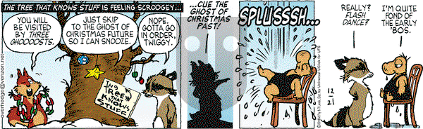 Over the Hedge on Wednesday December 21, 2016 Comic Strip