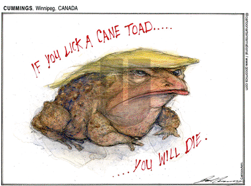 ViewsAmerica on Thursday February 4, 2021 Comic Strip